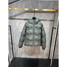 Louis Vuitton Down Jackets